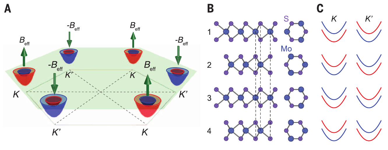公开原文Fig.1(A–C)实际面板